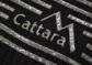 Cattara Grilovací rukavice Heat Grip